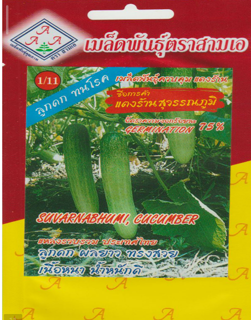 cucumber,suvarnabhumi