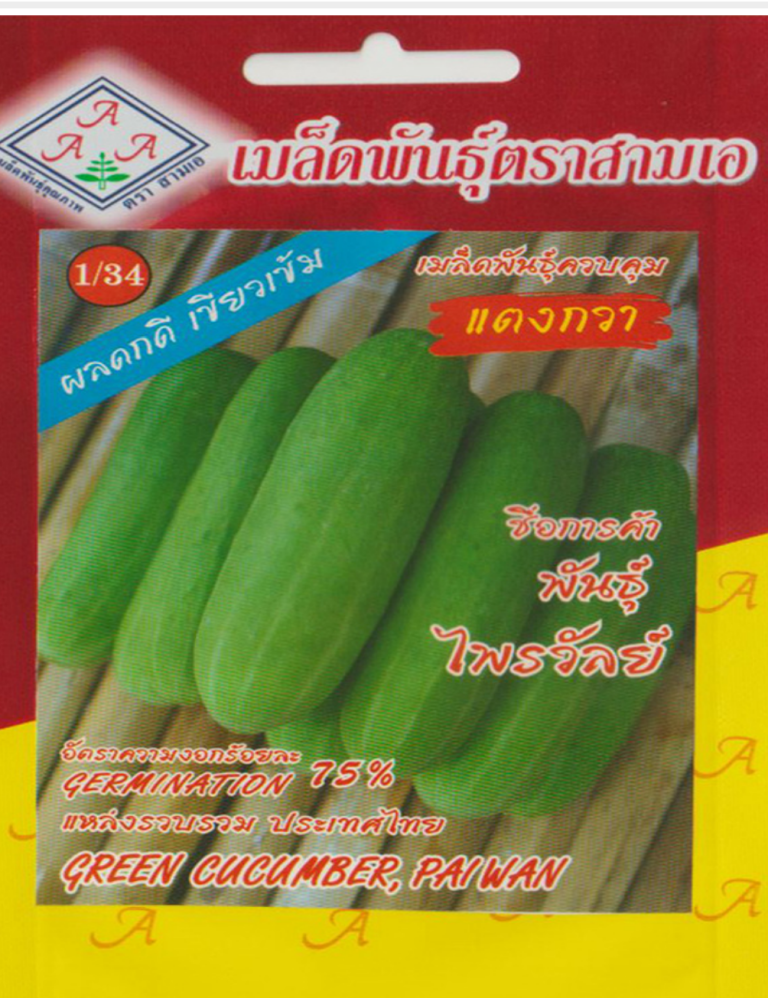 green cucumber (paiwan) – উচ্চ ফলনশীল ও রোগ প্রতিরোধী শসা বীজ