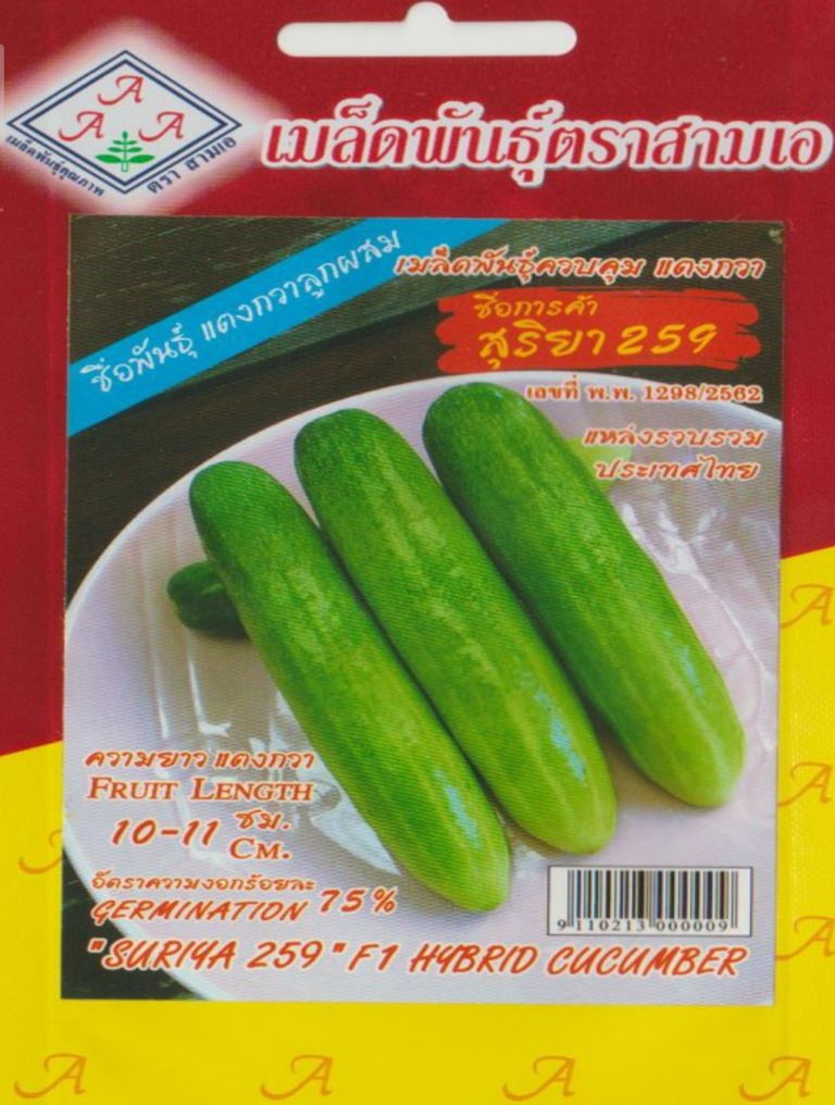 cucumber,suriya