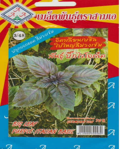 big leaf basil seeds (op) – large aromatic leaves | high purity 98% | all season herb seeds