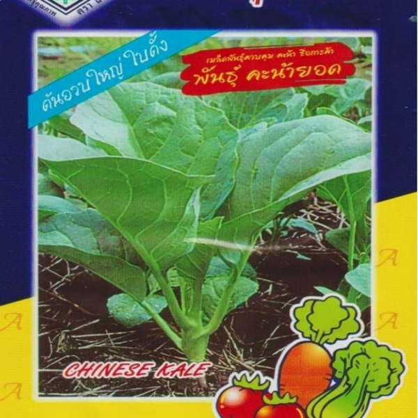 chinese kale