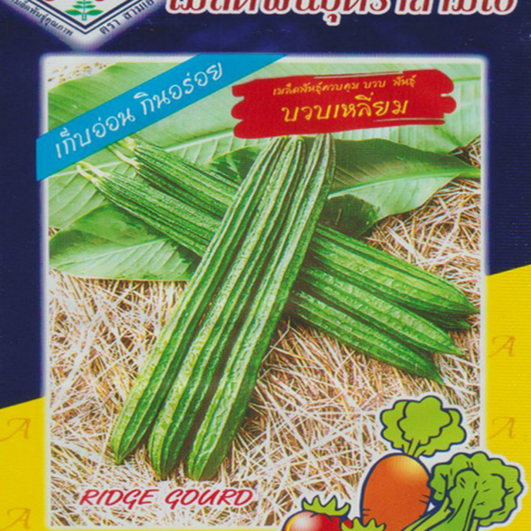selected ridge gourd – উন্নত মানের উচ্চ ফলনশীল ঝিঙা বীজ