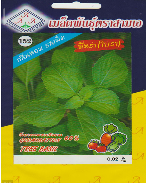 tree basil seeds (op) – high purity 98% | easy growing | all season herb seeds