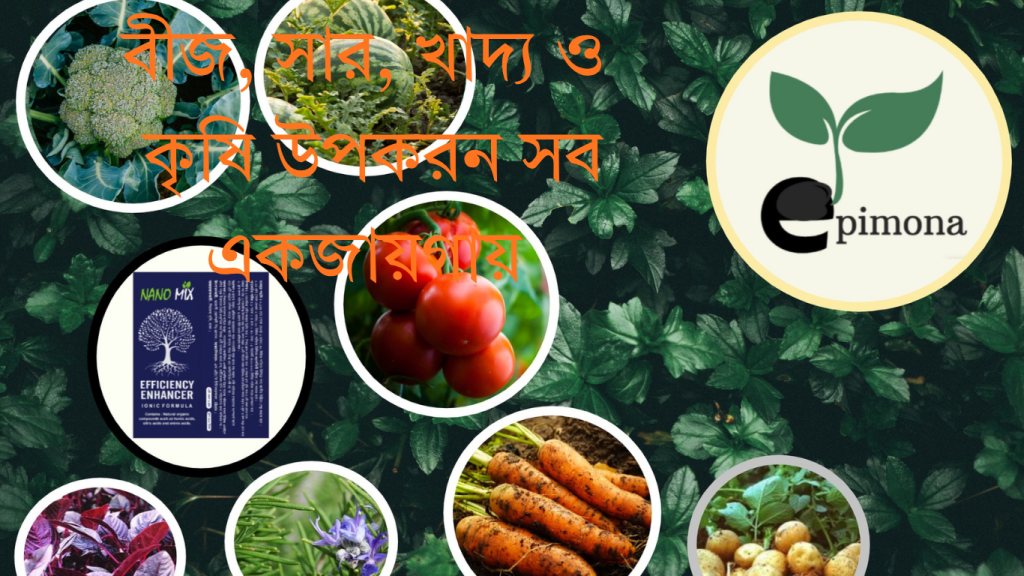 employee training website