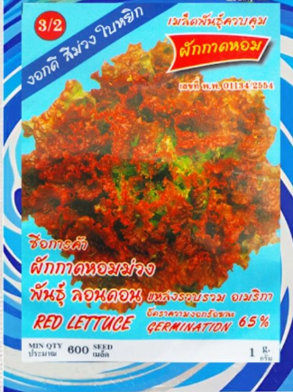 purple lettuce seeds, london variety