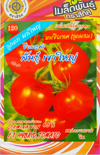 tomato seeds (hybrid) khao yai variety