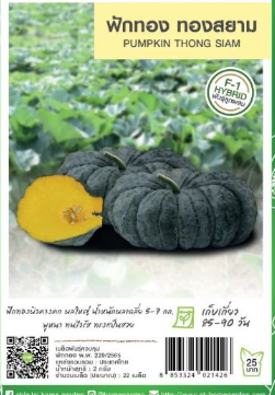 pumpkin seeds, siam gold, chia tai brand