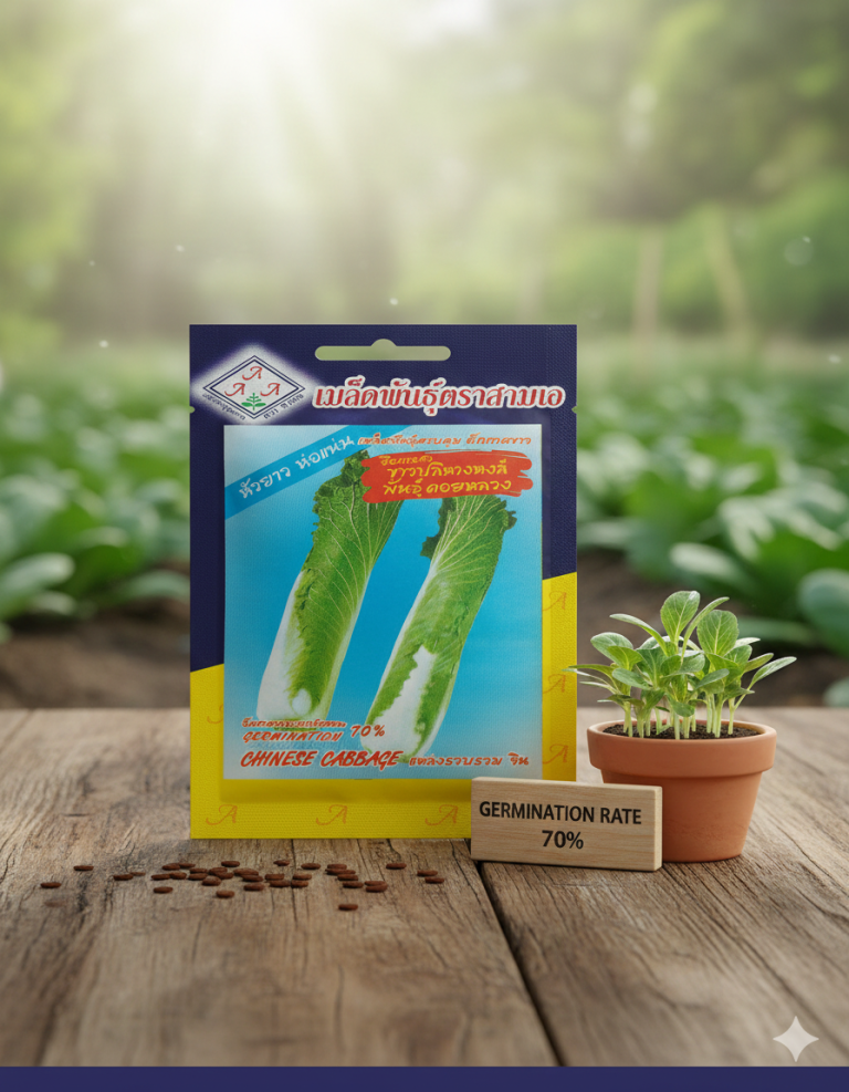 চীনা বাঁধাকপির বীজ – উন্নত ফলন | chinese cabbage seeds