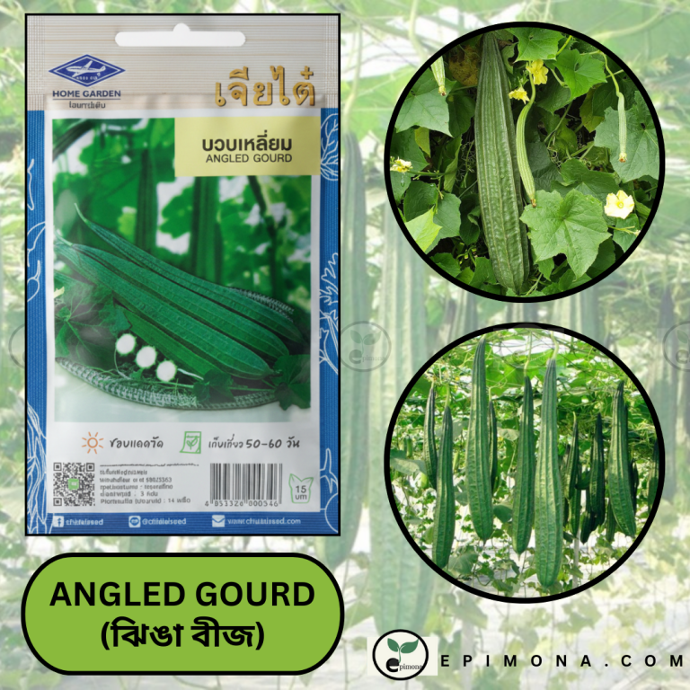 প্রিমিয়াম কোয়ালিটি ঝিঙা বীজ (angled gourd seeds) হাইব্রিড ও উচ্চ ফলনশীল জাত