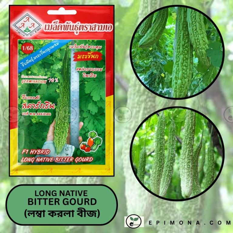 প্রিমিয়াম কোয়ালিটি লম্বা করলা বীজের প্যাকেট (f1 hybrid) long native bitter gourd seeds