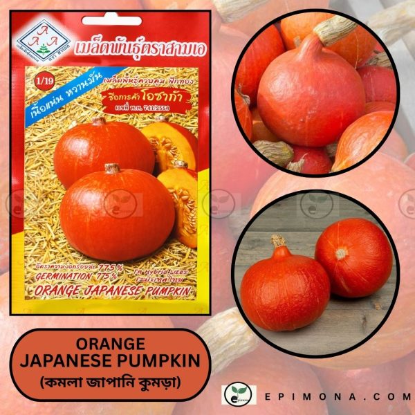 উন্নত জাতের অরেঞ্জ জাপানিজ মিষ্টি কুমড়া বীজ orange japanese pumpkin seeds (high germination)