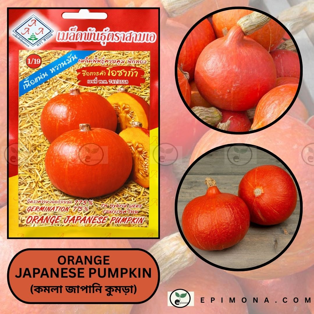 উন্নত জাতের অরেঞ্জ জাপানিজ মিষ্টি কুমড়া বীজ orange japanese pumpkin seeds (high germination)